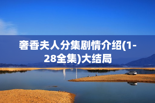 奢香夫人分集剧情介绍(1-28全集)大结局