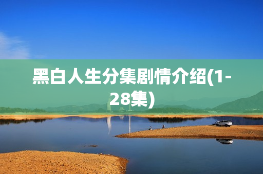 黑白人生分集剧情介绍(1-28集)