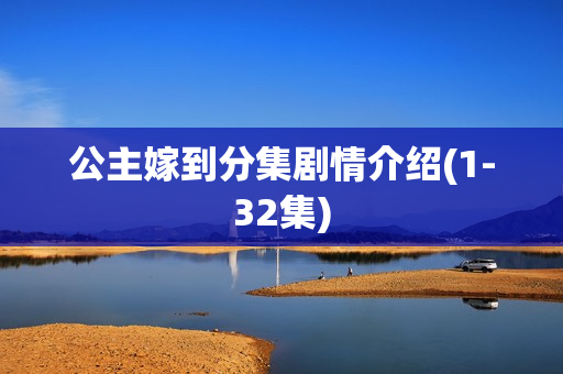 公主嫁到分集剧情介绍(1-32集)
