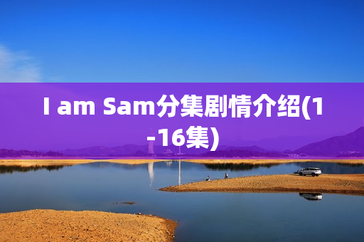 I am Sam分集剧情介绍(1-16集)