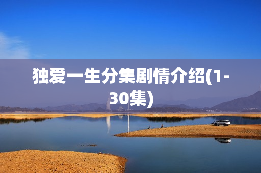 独爱一生分集剧情介绍(1-30集)