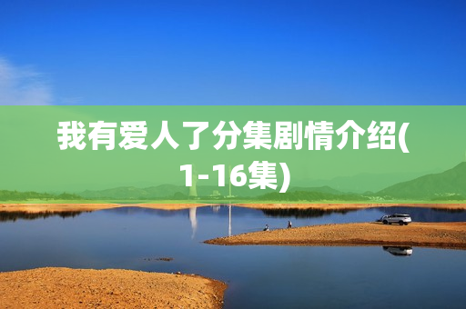 我有爱人了分集剧情介绍(1-16集)