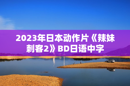 2023年日本动作片《辣妹刺客2》BD日语中字