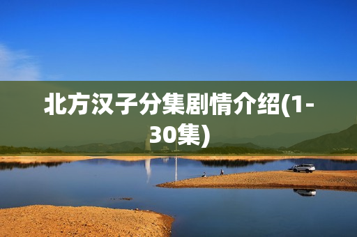 北方汉子分集剧情介绍(1-30集)