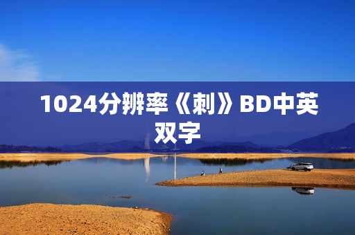 1024分辨率《刺》BD中英双字