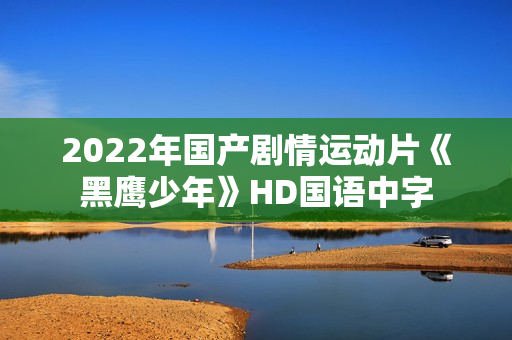 2022年国产剧情运动片《黑鹰少年》HD国语中字