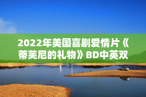 2022年美国喜剧爱情片《蒂芙尼的礼物》BD中英双字