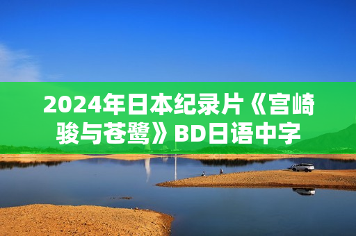 2024年日本纪录片《宫崎骏与苍鹭》BD日语中字