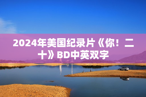 2024年美国纪录片《你！二十》BD中英双字