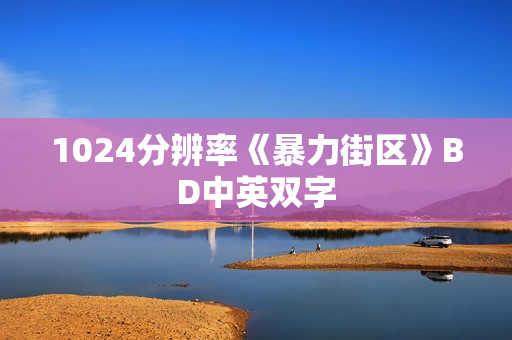 1024分辨率《暴力街区》BD中英双字