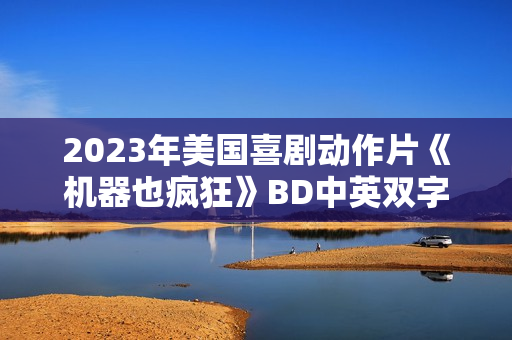 2023年美国喜剧动作片《机器也疯狂》BD中英双字