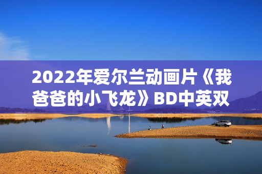 2022年爱尔兰动画片《我爸爸的小飞龙》BD中英双字