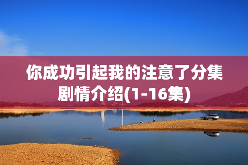 你成功引起我的注意了分集剧情介绍(1-16集)