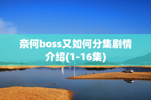 奈何boss又如何分集剧情介绍(1-16集)