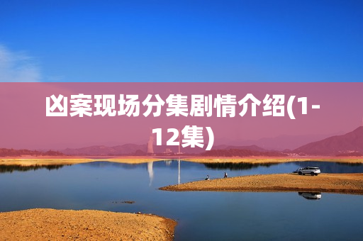 凶案现场分集剧情介绍(1-12集)