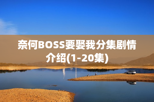 奈何BOSS要娶我分集剧情介绍(1-20集)