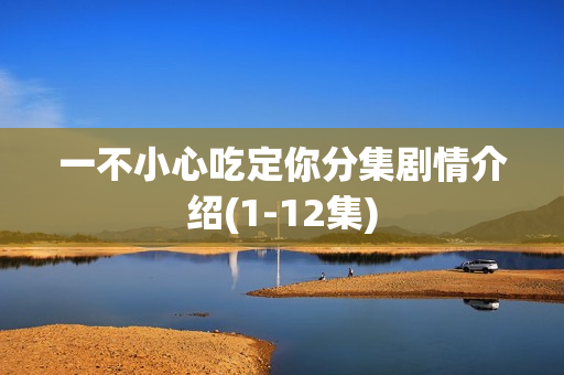 一不小心吃定你分集剧情介绍(1-12集)