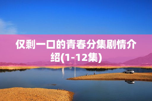 仅剩一口的青春分集剧情介绍(1-12集)