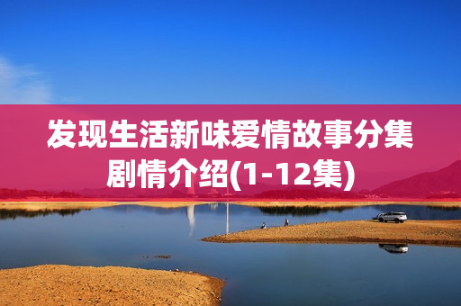 发现生活新味爱情故事分集剧情介绍(1-12集)