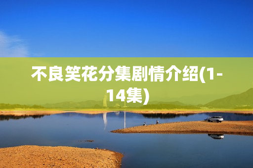 不良笑花分集剧情介绍(1-14集)