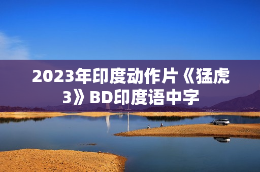 2023年印度动作片《猛虎3》BD印度语中字