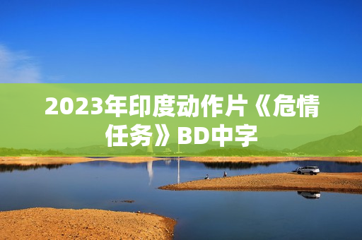 2023年印度动作片《危情任务》BD中字