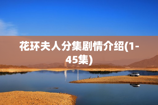 花环夫人分集剧情介绍(1-45集)