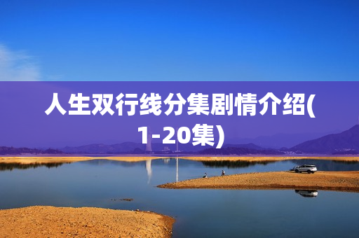 人生双行线分集剧情介绍(1-20集)