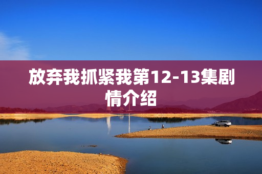 放弃我抓紧我第12-13集剧情介绍