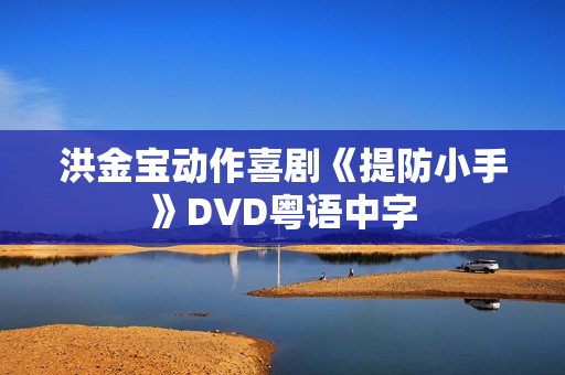 洪金宝动作喜剧《提防小手》DVD粤语中字