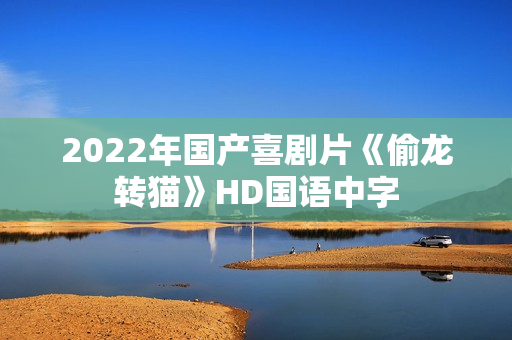 2022年国产喜剧片《偷龙转猫》HD国语中字
