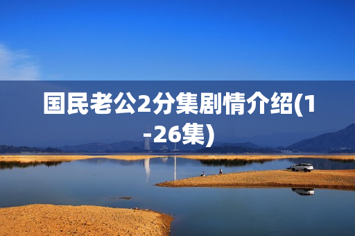 国民老公2分集剧情介绍(1-26集)