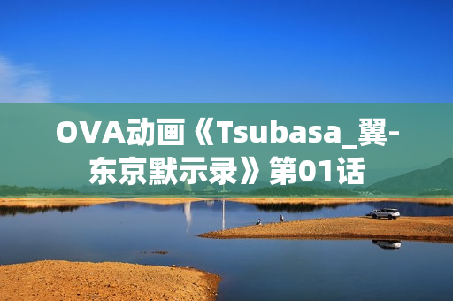 OVA动画《Tsubasa_翼-东京默示录》第01话