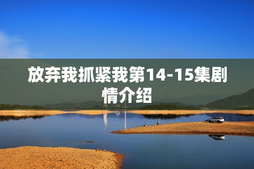 放弃我抓紧我第14-15集剧情介绍