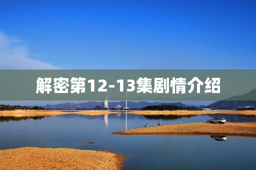 解密第12-13集剧情介绍