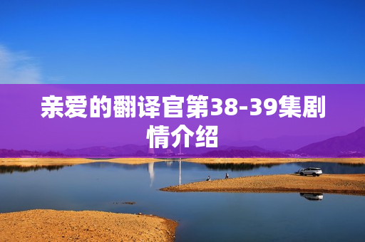 亲爱的翻译官第38-39集剧情介绍