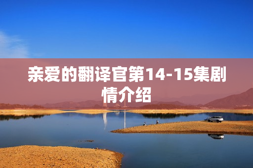 亲爱的翻译官第14-15集剧情介绍