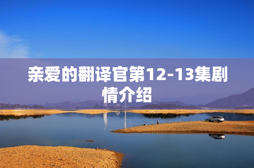 亲爱的翻译官第12-13集剧情介绍