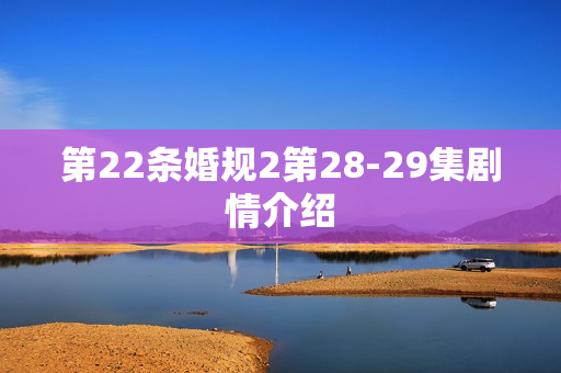 第22条婚规2第28-29集剧情介绍