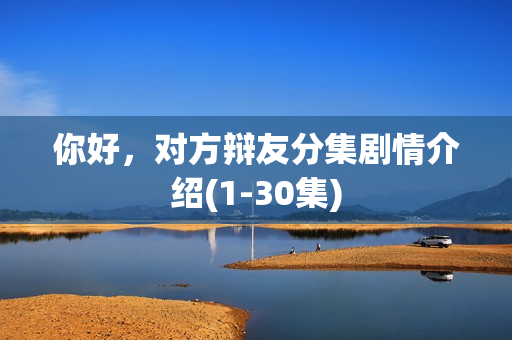 你好，对方辩友分集剧情介绍(1-30集)