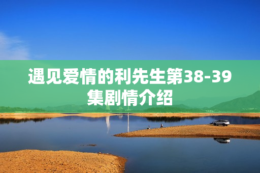 遇见爱情的利先生第38-39集剧情介绍