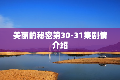 美丽的秘密第30-31集剧情介绍