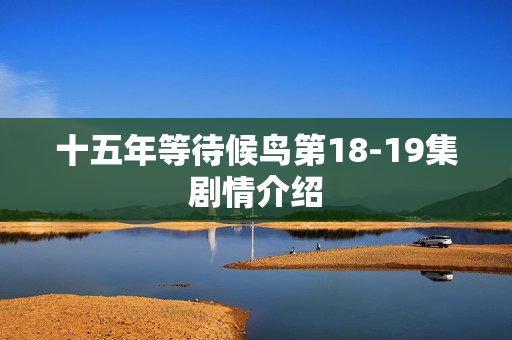 十五年等待候鸟第18-19集剧情介绍