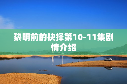 黎明前的抉择第10-11集剧情介绍