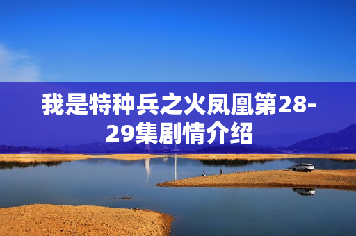 我是特种兵之火凤凰第28-29集剧情介绍