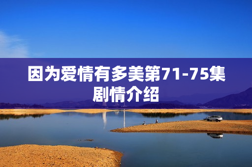 因为爱情有多美第71-75集剧情介绍