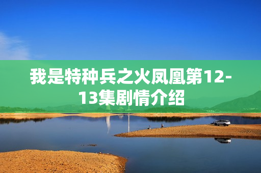 我是特种兵之火凤凰第12-13集剧情介绍