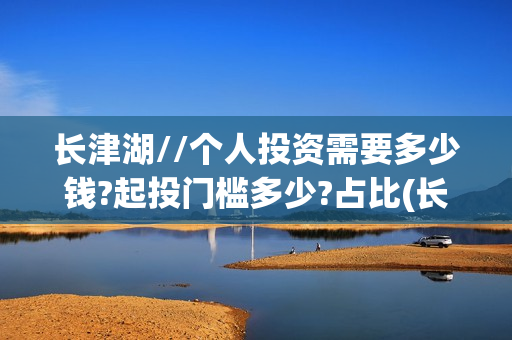 长津湖//个人投资需要多少钱?起投门槛多少?占比(长津湖vr)