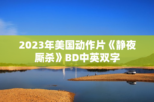 2023年美国动作片《静夜厮杀》BD中英双字