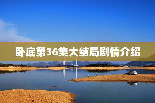 卧底第36集大结局剧情介绍